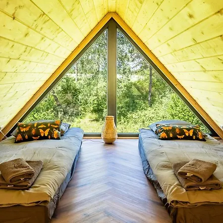 Camp * Gulbity