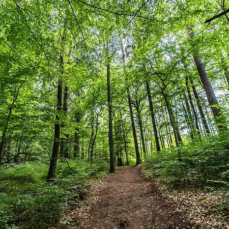 Camp Casa de Férias